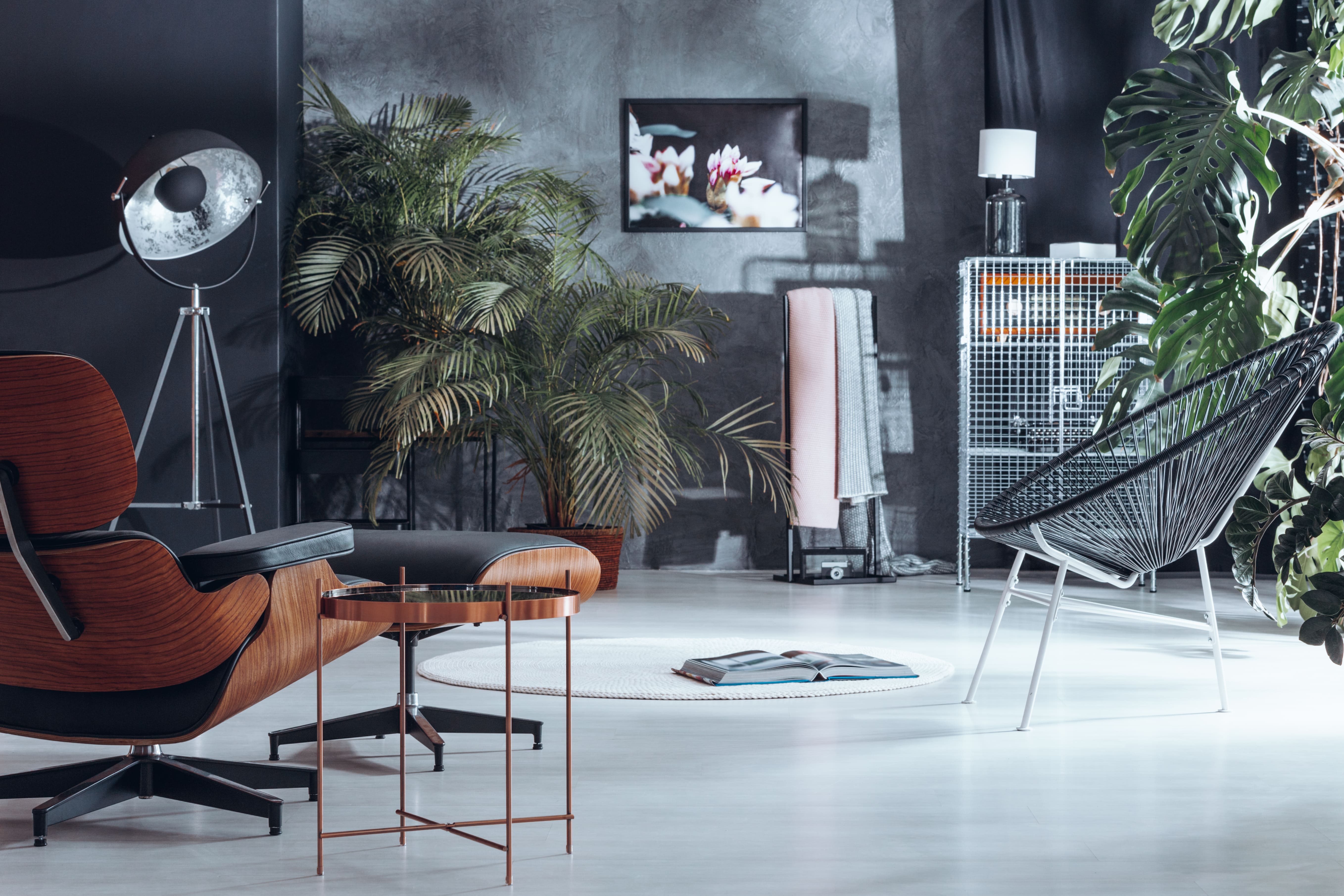 living-room-with-plant-decoration-PZT6HZM-min
